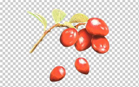 Fruit Food Plant Natural Foods Superfruit Png Clipart Flower Food