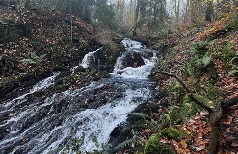 10 Best Walking Trails In Windermere Alltrails