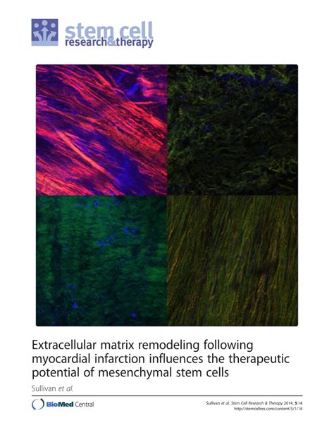 Pdf Extracellular Matrix Remodeling Following Myocardial Infarction