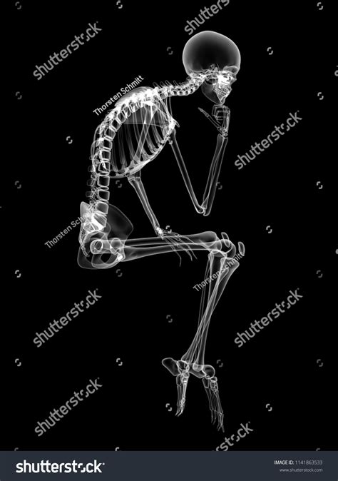 X Ray Human Body 3d Render Stock Illustration 1141863533 Shutterstock