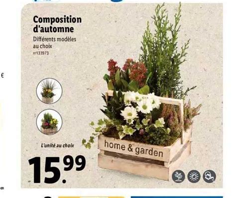 Promo Composition D Automne Chez Lidl ICatalogue Fr