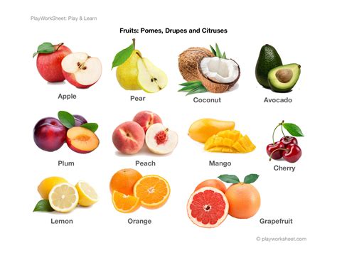 Fruits Pictures Pomes Drupes And Citruses Free Printables For Kids