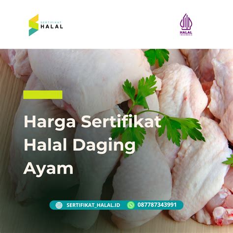 Harga Sertifikat Halal Mui Pt Sertifikat Halal Indonesia