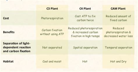 Biol 240 Exam 2 Practice Questions Flashcards Quizlet