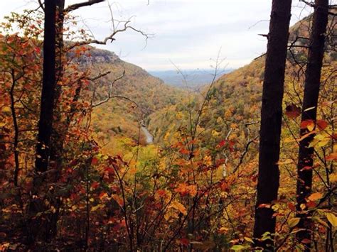 Fall 2015 Chattanooga Tennessee Chattanooga Chattanooga Tennessee
