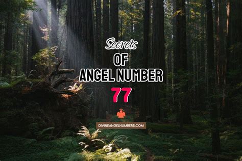 77 Angel Number Meaning Money And Twin Flame Reunion