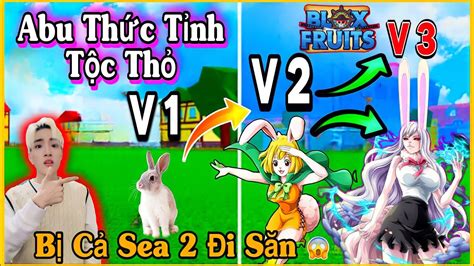 ROBLOX Abu Lần Đầu Qua Sea 2 Thức Tỉnh Tộc Thỏ V4 Bị Cả Sever Đi