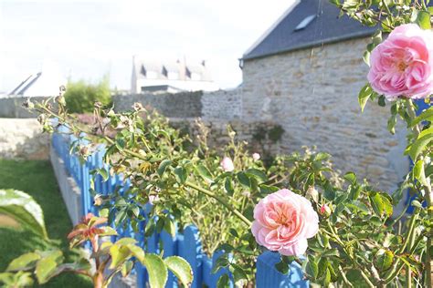 Ambiance Fleur Mairie Mairie De Plouhinec Flickr