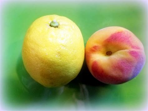 Peachlemon Persimmon Tree