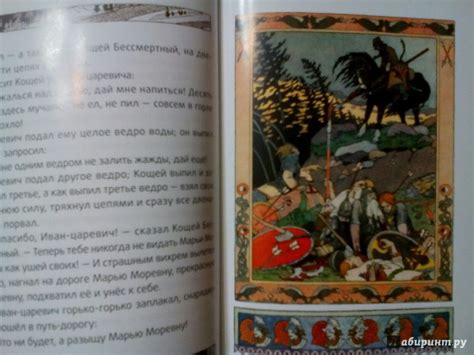 Книга: Царевна-Лягушка - . Купить книгу, читать рецензии | Лабиринт