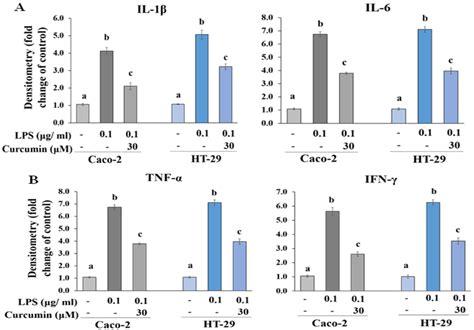 Figure Cytokine Expression In Lps Induced Caco And Ht Cells By