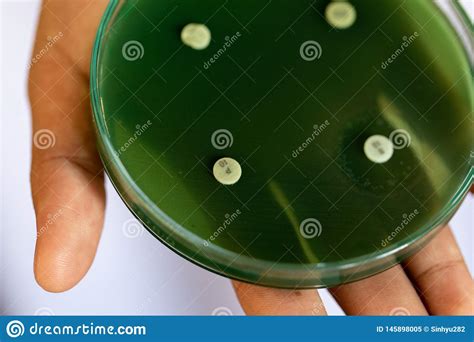 Testes De Droga Da Microbiologia Imagem De Stock Imagem De Agar