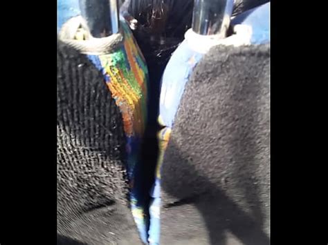 Le Echo Leche En El Camion XVIDEOS