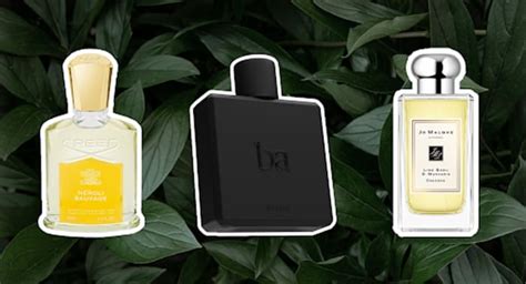 The Best Citrus Colognes For Men Men S Journal