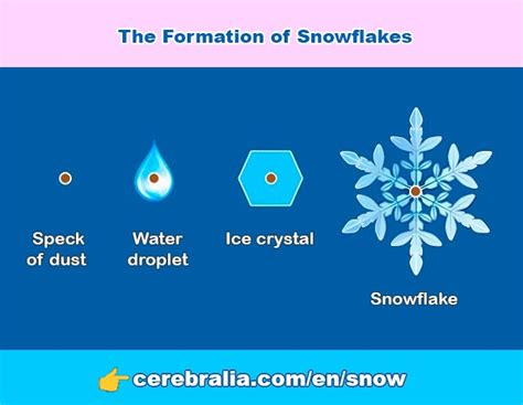 HOW DOES SNOW FORM? 】 ️ Types of snowflakes