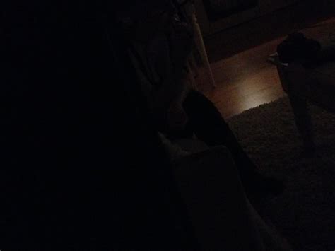 Voyeur Porn Pics Xxx Photos Sex Images App Page Pictoa