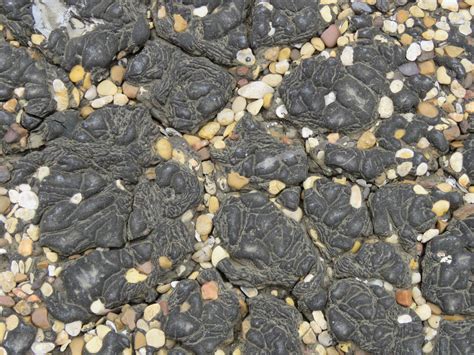 Pictures Telltale Signs Of A Coal Tar Pitch Roof Roof Help