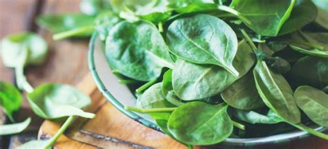 Spinach Nutrition Benefits Uses Recipes And Side Effects Dr Axe