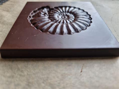 Fine Quality Milk Chocolate Bar Fossil Ammonite The Dorset