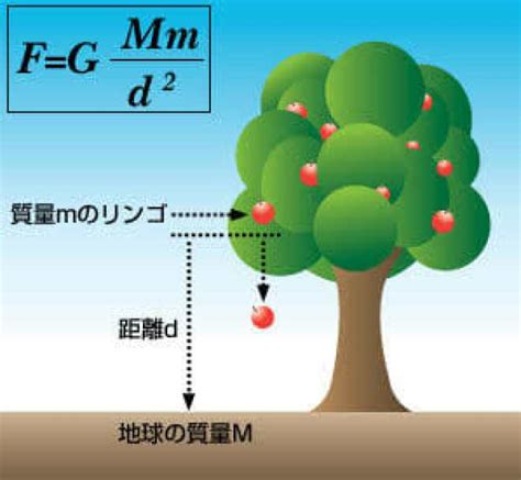 ニュートンの三つの運動法則がわかります。単位の解説とももに入試問題も！ Himokuri