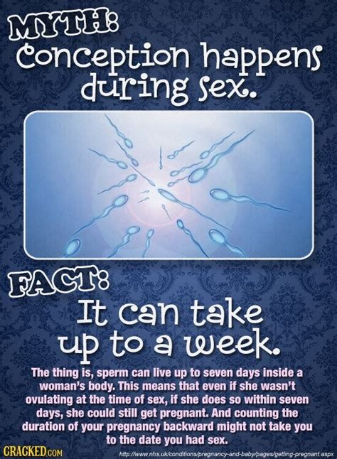 Surprising Facts About Sex And Our Dumb Brains Cracked