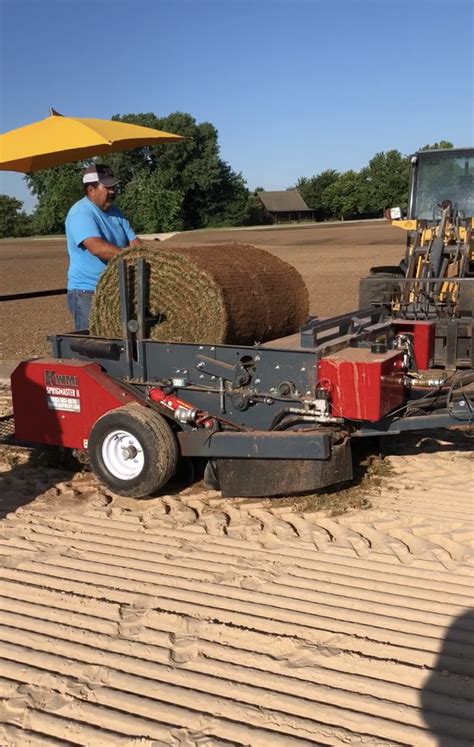 sprigging sod  sherry