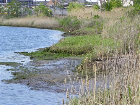 Woodbridge Creek Former Metals Processing Facility | Roux Inc
