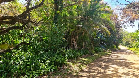 1016 M2 Vacant Land For Sale Leisure Bay 1pd1584367 Pam Golding