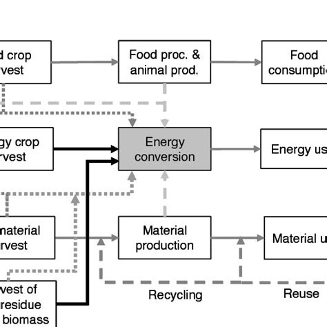 Simplified Chart Showing Various Biomass Flows In Society Energy