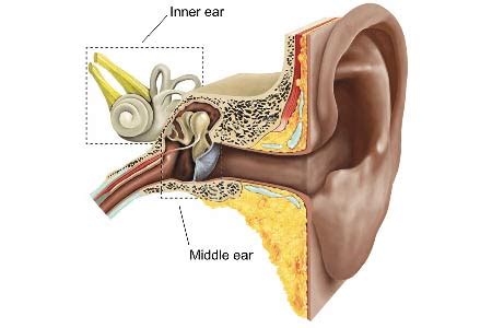 Stapedectomy Surgery in India: Causes, Procedure, Hospitals