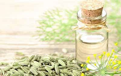 Фенхель для роста волос. Масло фенхеля для ухода за волосами: рецепты масок