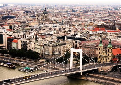 Про мокрого льва / Павловский парк