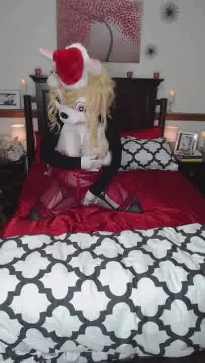 Bad Bunnies Christmas Amateur Amateur Porn Xhamster