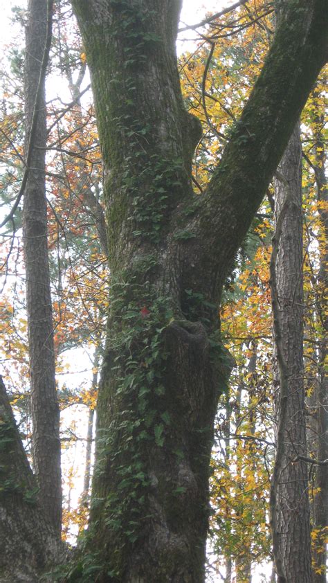Huntsville State Park – State of Wilderness