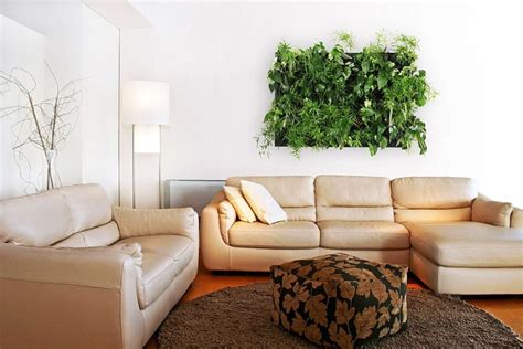 Вертикальный сад в квартире: 100+ фото [Идеи Дизайна 2019]