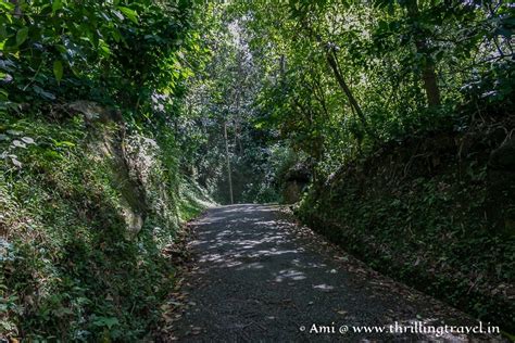 Back to the Neolithic Age with Edakkal Caves Wayanad - Thrilling Travel