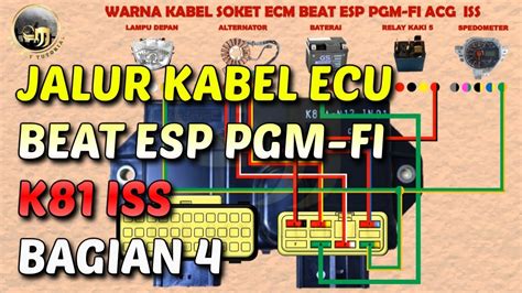 Warna Kabel ECU Beat ESP PGM FI ACG Starter Halus K81 ISS Bagian 4