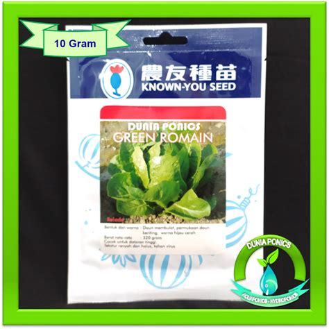 Jual Benih Bibit Selada Hijau Lettuce GREEN ROMAINE Known You Seed 10