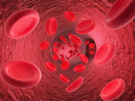 Ini Penyebab Keluarnya Gumpalan Darah Haid Seperti Daging Saat