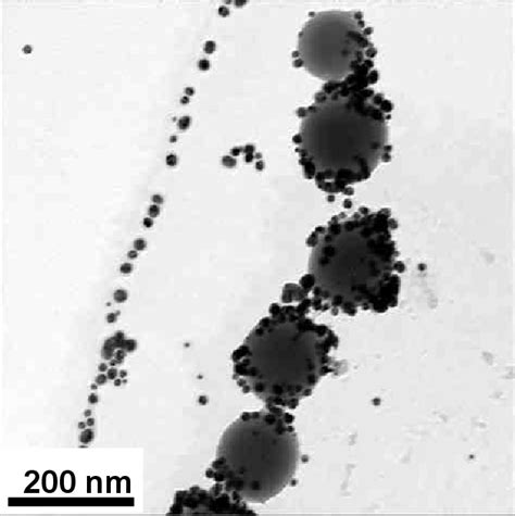 Table 3-2 from Surface-enhanced Raman Scattering Active Plasmonic ...