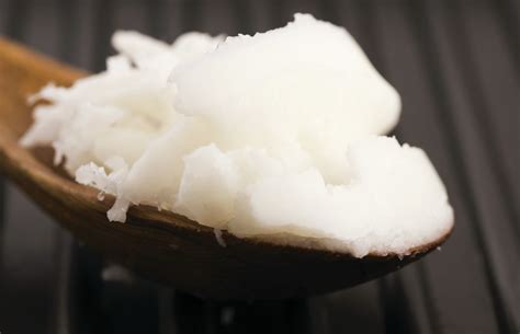 beef fat beef suet whitts  cattle depot