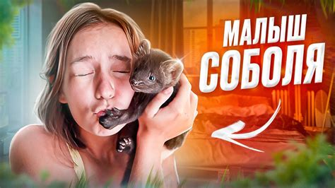 ВПЕРВЫЕ - Маленький СОБОЛЬ за 20.000 РУБЛЕЙ! Я в восторге! - YouTube