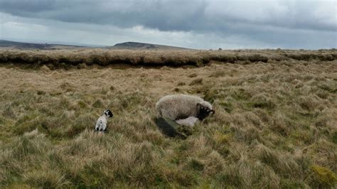 Biography explaining what the Roy Marsden acting style is based on 10