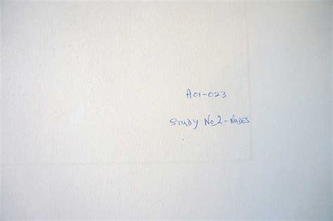 Study No Nude Limited Edition Etching Raresy Art Gallery