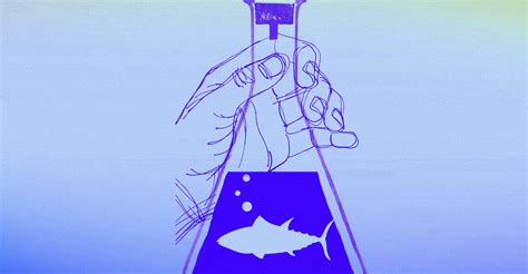Can lab-grown seafood help oceans and fish species under threat? - Vox