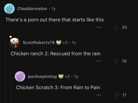 Redditor Shares Live Updates While Stuck In A Chicken Coop On A Rainy ...