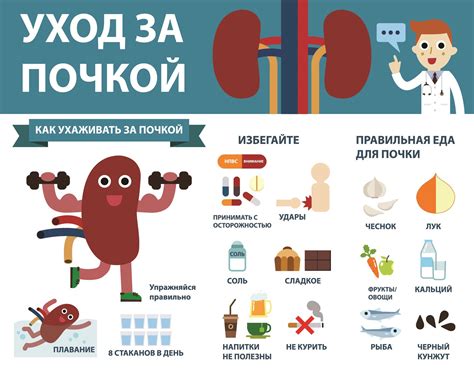 Что полезно для почек: 20 продуктов, которые нужно пить и есть для ...