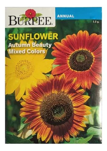 Semillas De Girasol Belleza De Otoño 2 Pack Meses sin interés