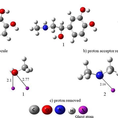 AM1 (a) to obtain σf (full molecule), (b) 1 to obtain σw for O1H1A ...