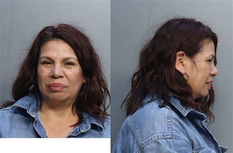 ARIAS DIONICIA MABEL 06 04 2022 Miami Dade County Mugshots Zone